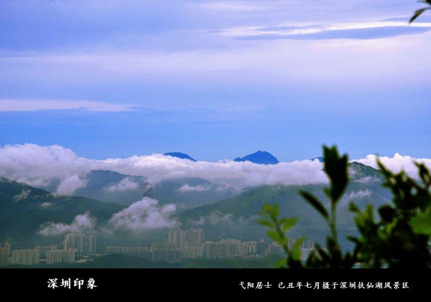 僵尸顶顶乐